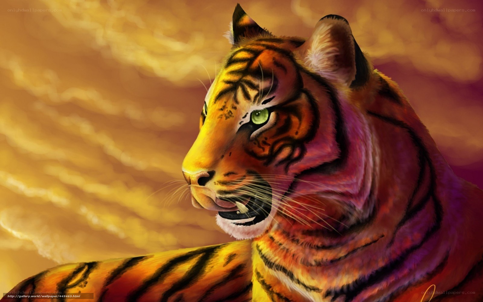 tiger in golden light