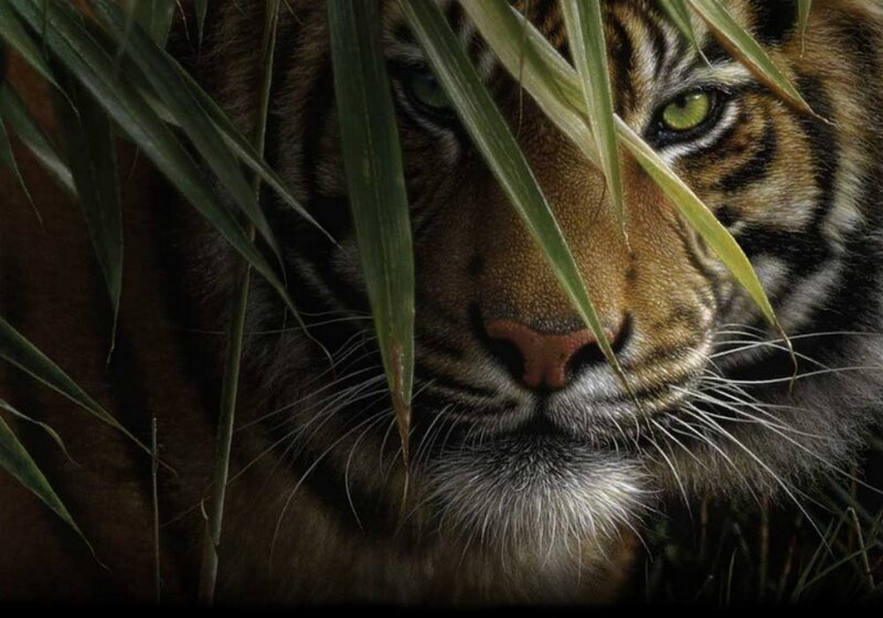 Tiger in Grass — Brown, Intense