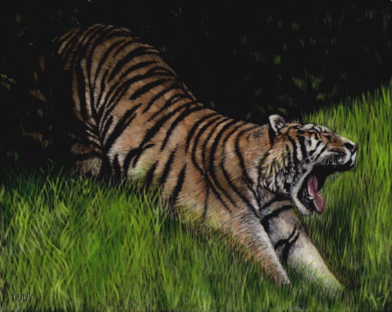 Tiger in Grass — Green, Dramatic