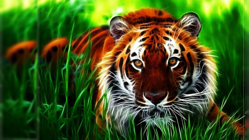 Tiger in Grass — Green, Intense, Digital Art, Eyes, Stripes