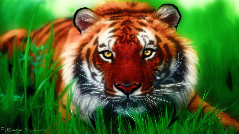 Tiger in Grass — Green, Intense