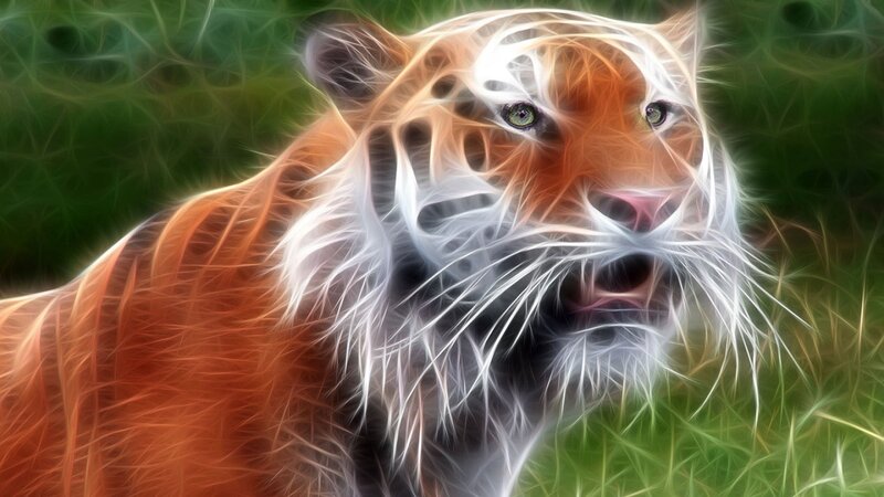 Tiger in Grass — Orange, Dramatic, Digital Art