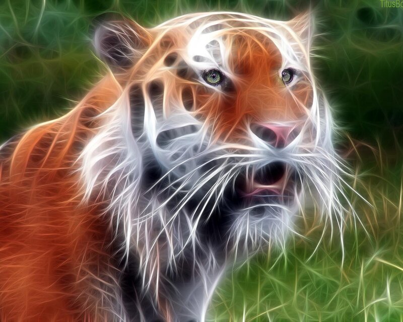 Tiger in Grass — Orange, Intense, Digital Art