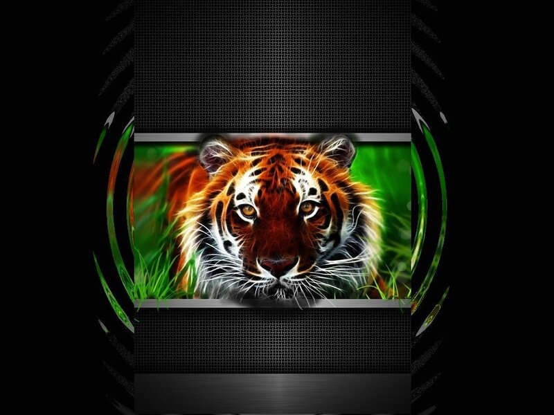 Tiger in Grass — Orange