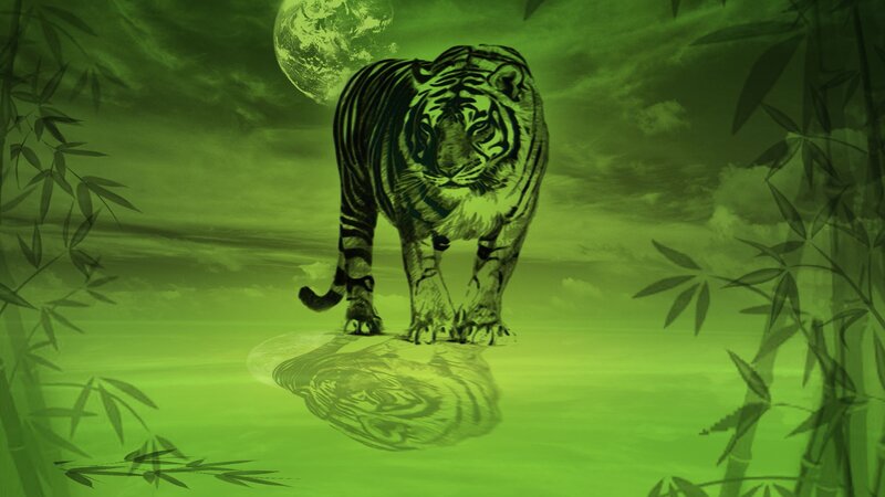 Tiger in Green Landscape