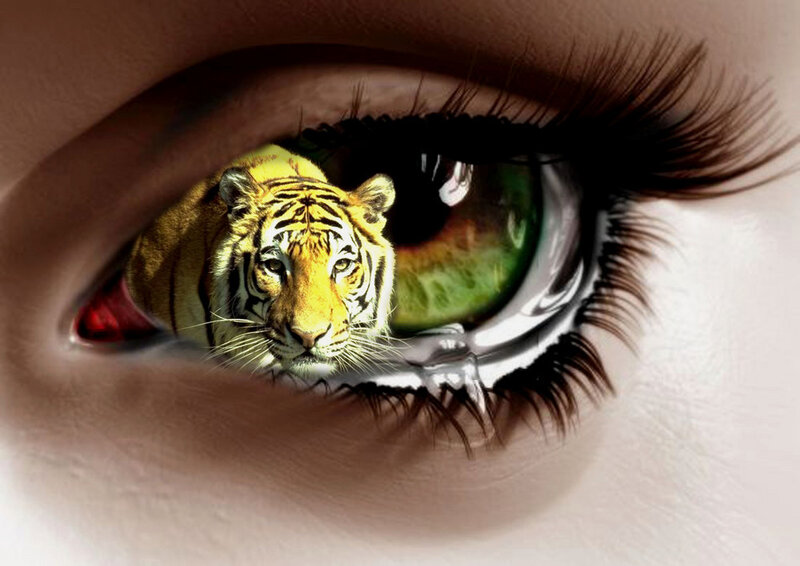 tiger in human eye