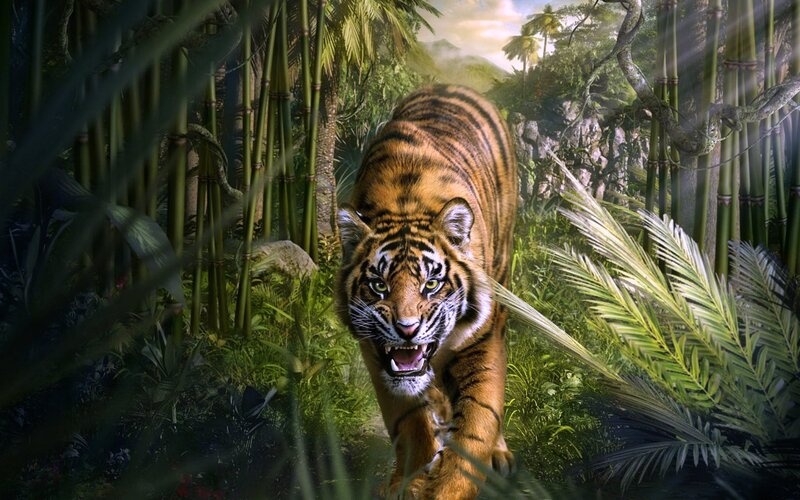Tiger in Jungle — Green, Dramatic, Afternoon, Digital Art