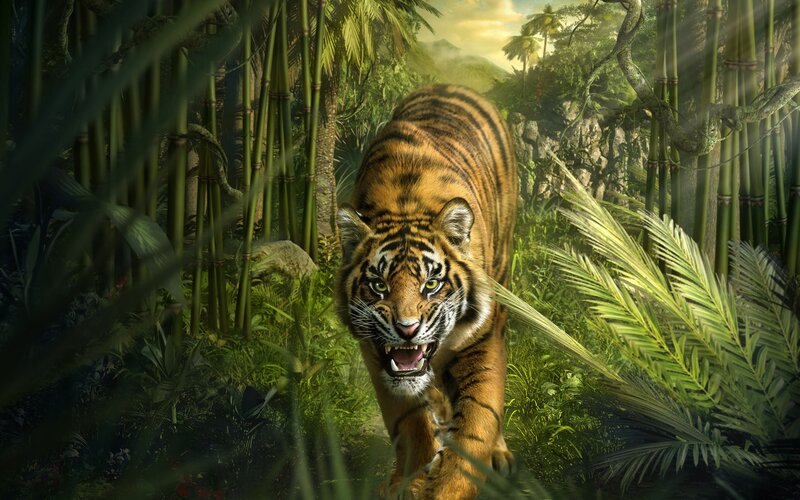 Tiger in Jungle — Green, Dramatic, Afternoon