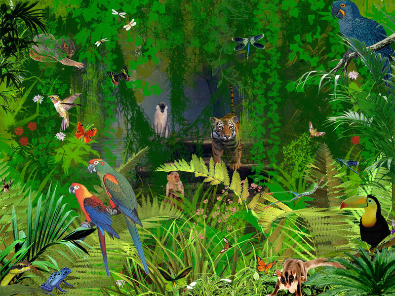 Tiger in Jungle — Green, Lush, Afternoon