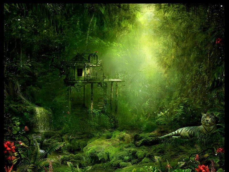 Tiger in Jungle — Green, Serene, Morning