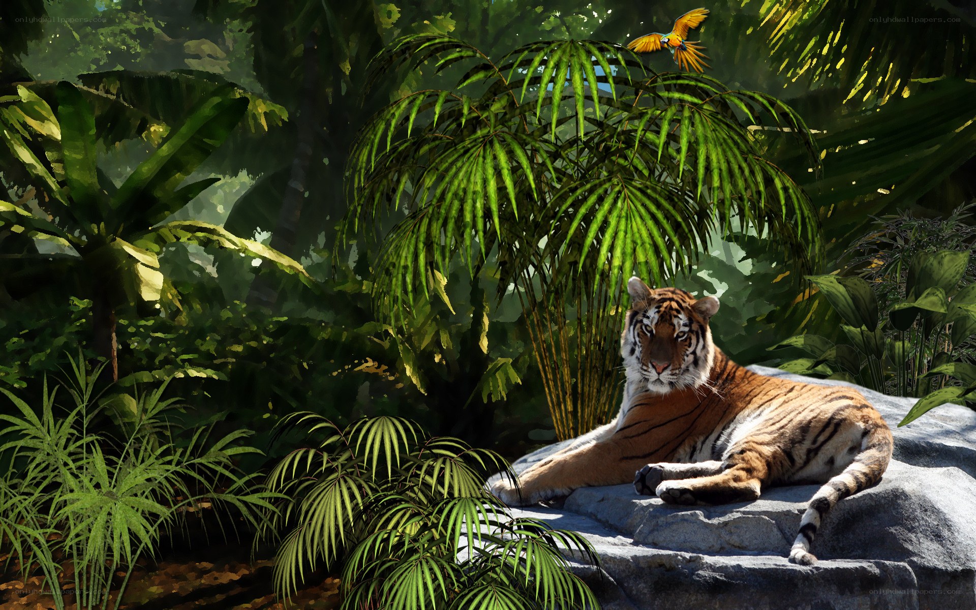 Tiger in jungle habitat
