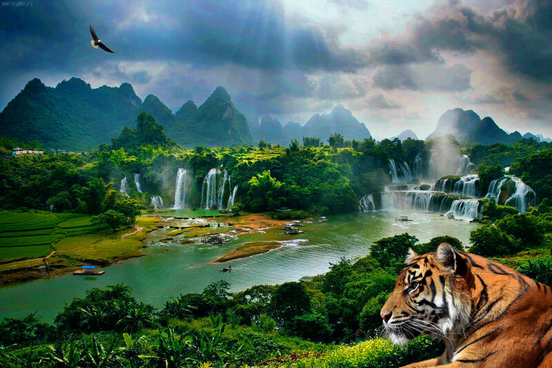 Tiger in Jungle Landscape
