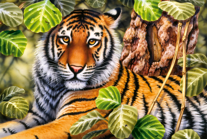 Tiger in Jungle — Orange, Calm
