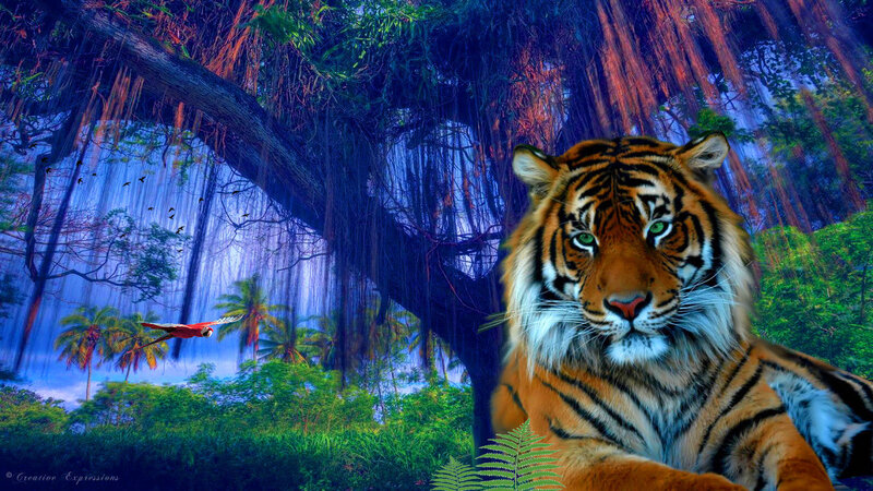 Tiger in Jungle — Orange