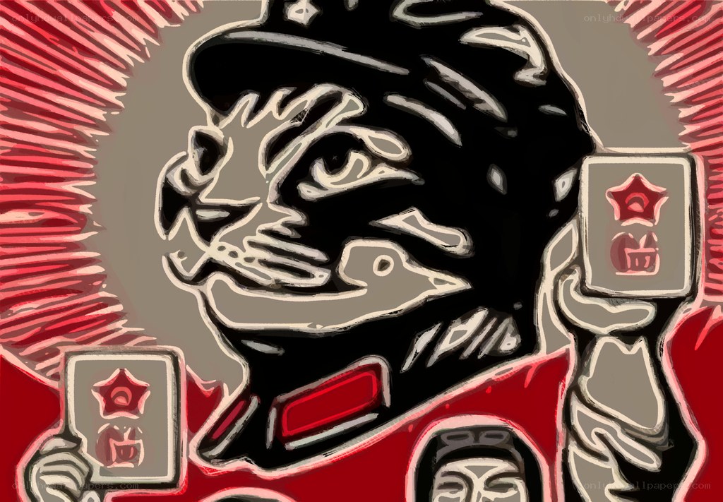 tiger in military uniform