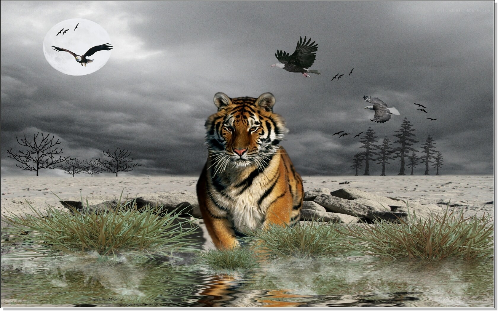 Tiger in moonlit landscape