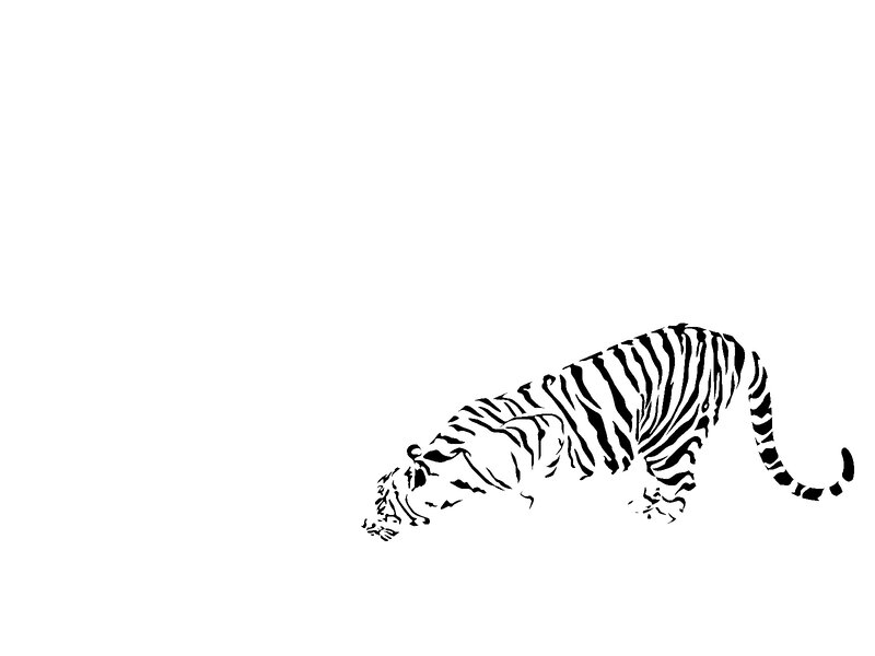 tiger in motion