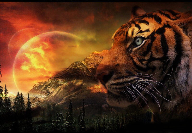 Tiger in Mountain Landscape