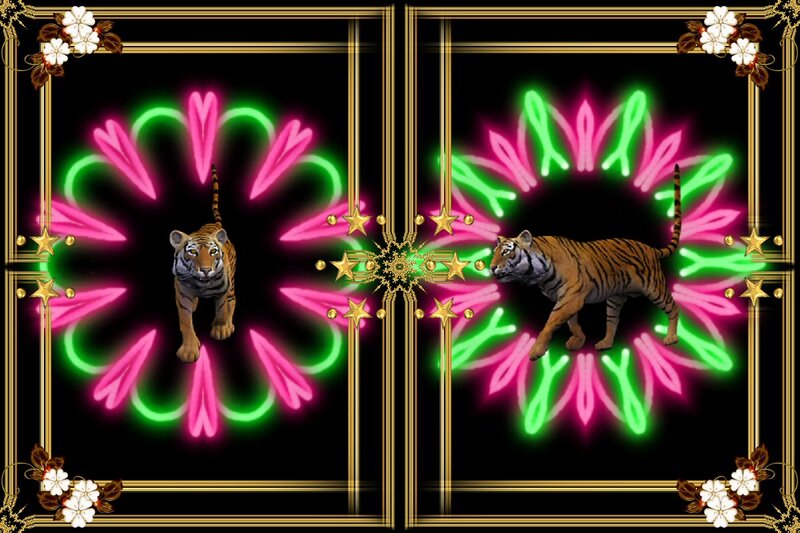 Tiger in Neon Display