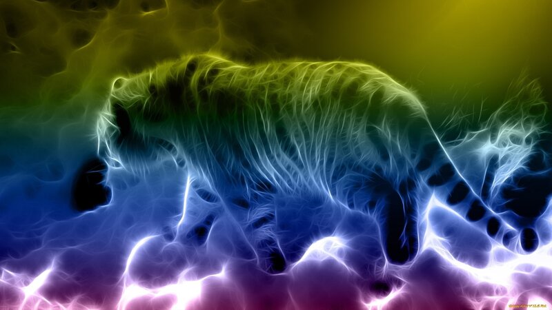 Tiger in Neon Light — Blue