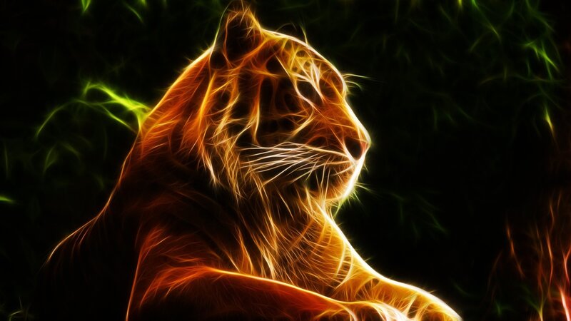 Tiger in Neon Light — Orange, Dramatic