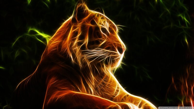 Tiger in Neon Light — Orange