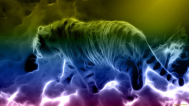 Tiger in Neon Light