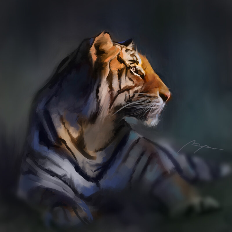 Tiger in Profile — Orange, Dramatic, Digital Art, Whiskers, Stripes