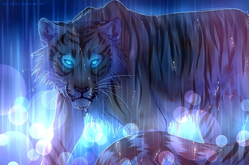 Tiger in Rain — Blue