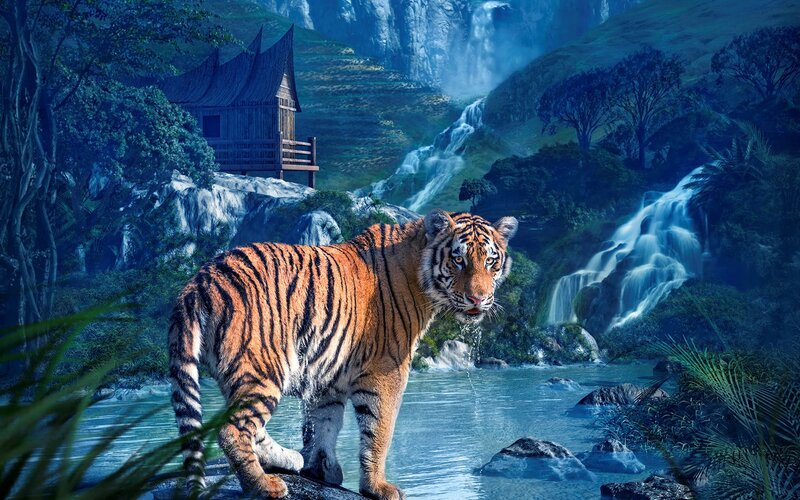 Tiger in River — Blue