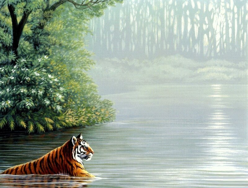 Tiger in River