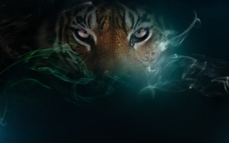 tiger in smoke