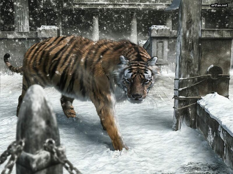 Tiger in Snow — Brown, Dramatic, Winter, Digital Art