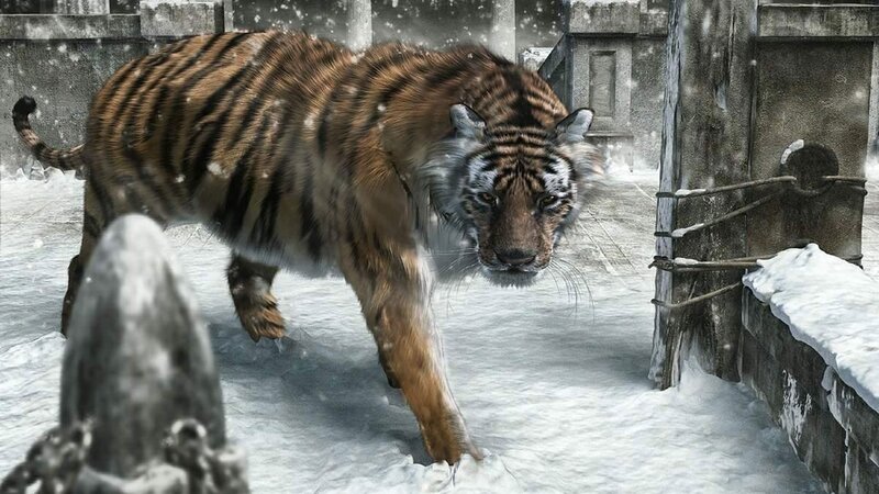 Tiger in Snow — Brown, Dramatic, Winter