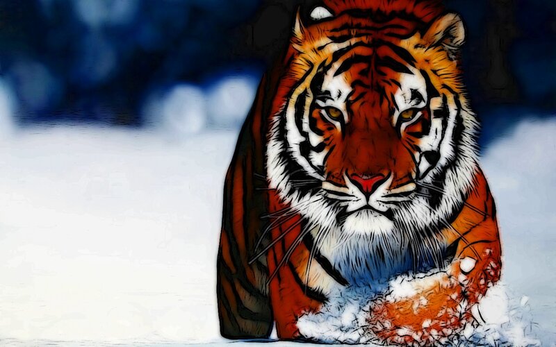 Tiger in Snow — Dramatic, Digital Art