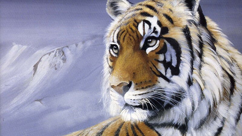 Tiger in Snow — Orange, Calm, Winter, Painting