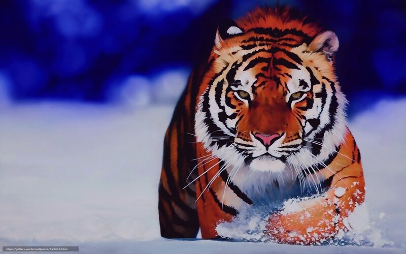 Tiger in Snow — Orange, Dramatic, Winter, Digital Art, Forest