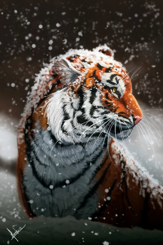 Tiger in Snow — Orange, Dramatic, Winter, Digital Art, Whiskers