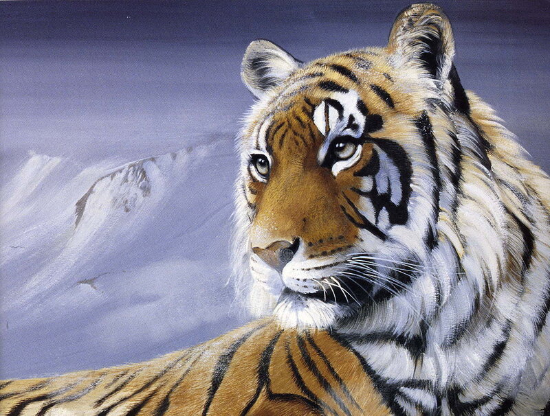 Tiger in Snow — Orange, Dramatic, Winter, Painting, Mountain