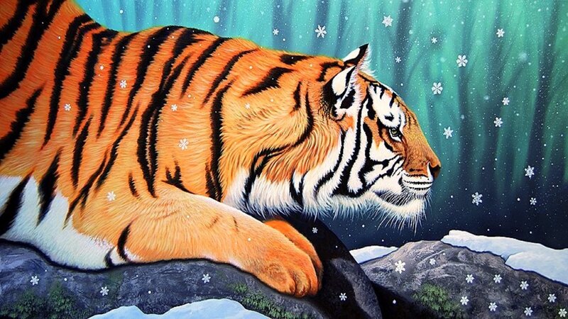 Tiger in Snow — Orange, Serene
