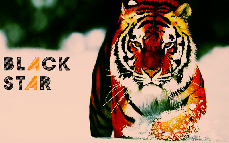 Tiger in Snow — Red