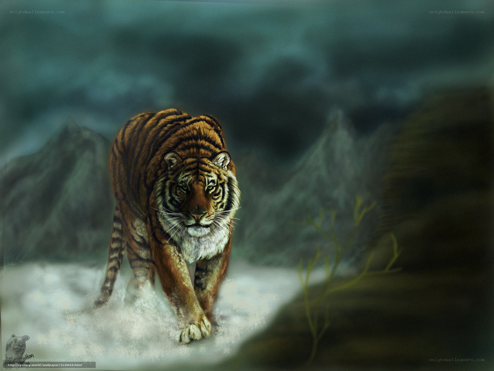Tiger in snowy mountains