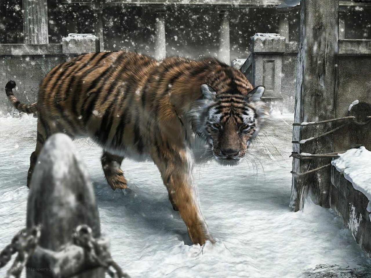 tiger in snowy ruins