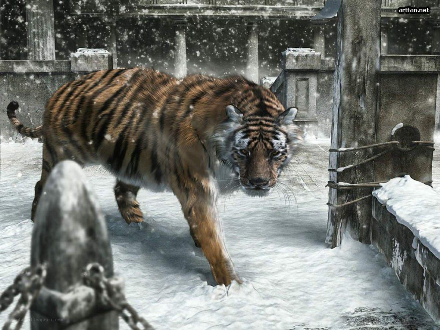tiger in snowy ruins