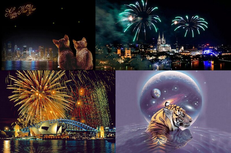 Tiger in Space Bubble