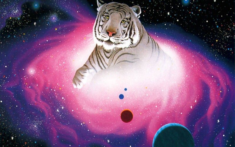 tiger in space nebula