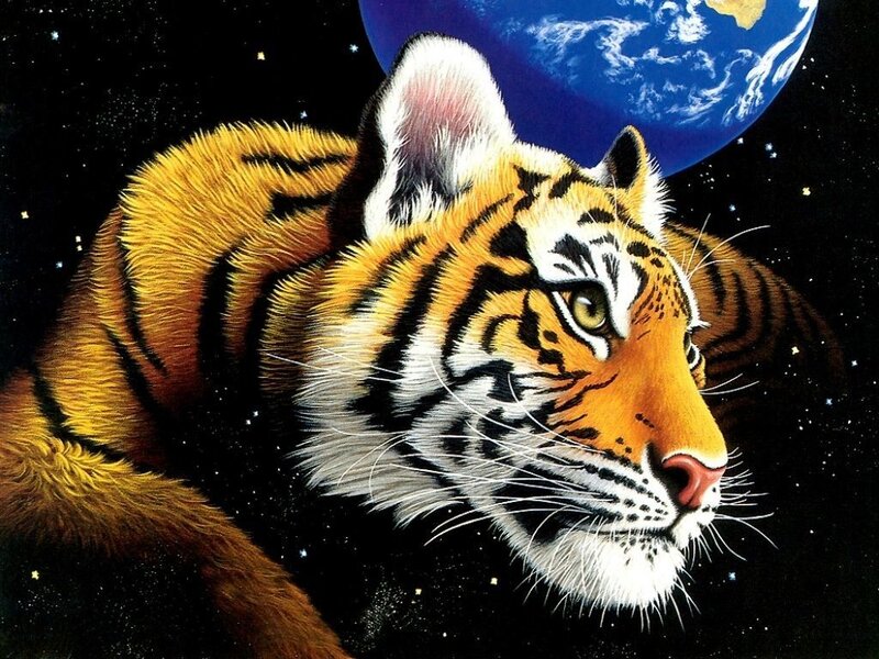 Tiger in Space — Orange, Dramatic, Digital Art