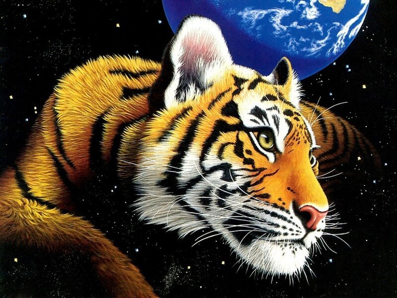 Tiger in Space — Orange, Dramatic