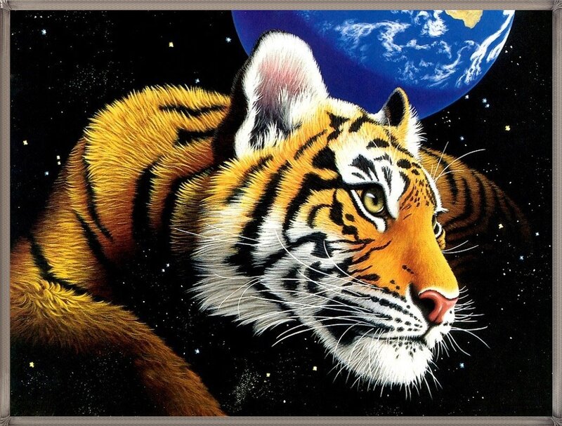 Tiger in Space — Orange
