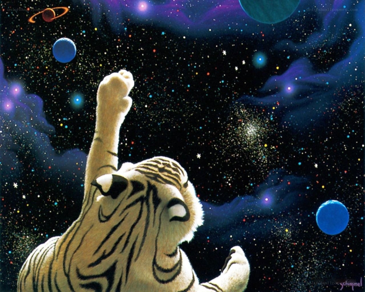 tiger in space reaching for stars